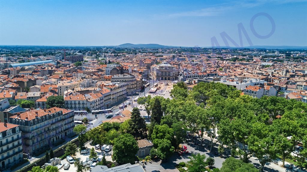 Vente Local d'activité