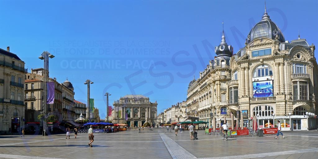 Vente Commerce Hérault