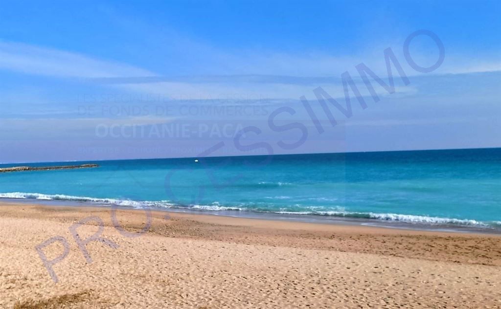 Vente Commerce Hérault