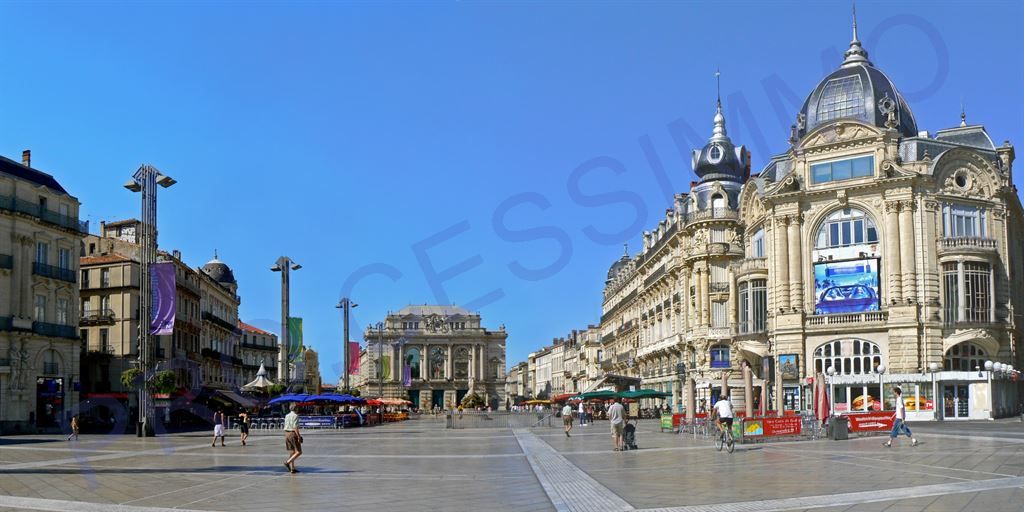 Vente Commerce Montpellier (34000)